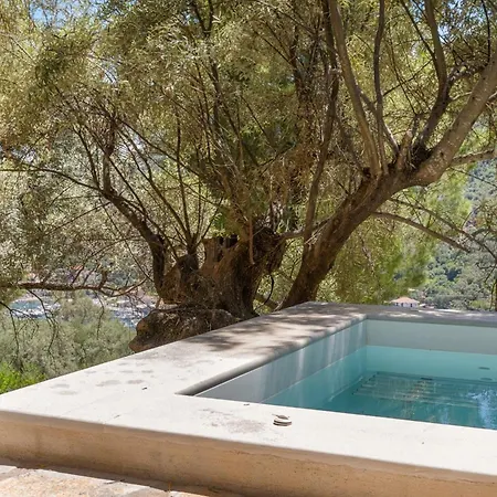 Villa Giancarlo - Lovely With Stone And Wood Elements In Bay